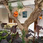 Perla Apartament Rogoznica (Sibenik-Knin)