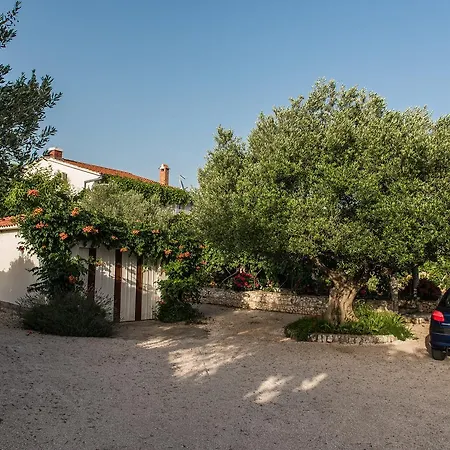 Perla Apartment Rogoznica (Sibenik-Knin)