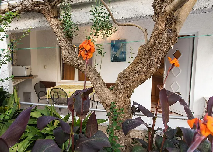 Perla Apartment Rogoznica (Sibenik-Knin)