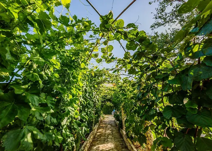 Perla Διαμέρισμα Rogoznica (Sibenik-Knin)